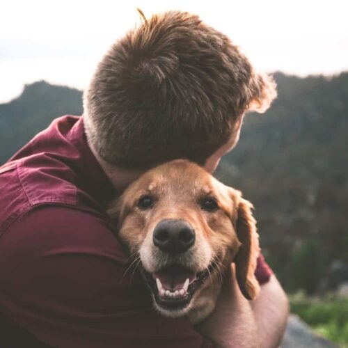 Top 5 Benefits of Owning a Pet